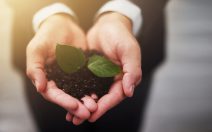 iStock_000071837671_Small