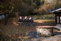 Traditionella koreanska onggi-lerkrukor på en stenplattform i höstmiljö